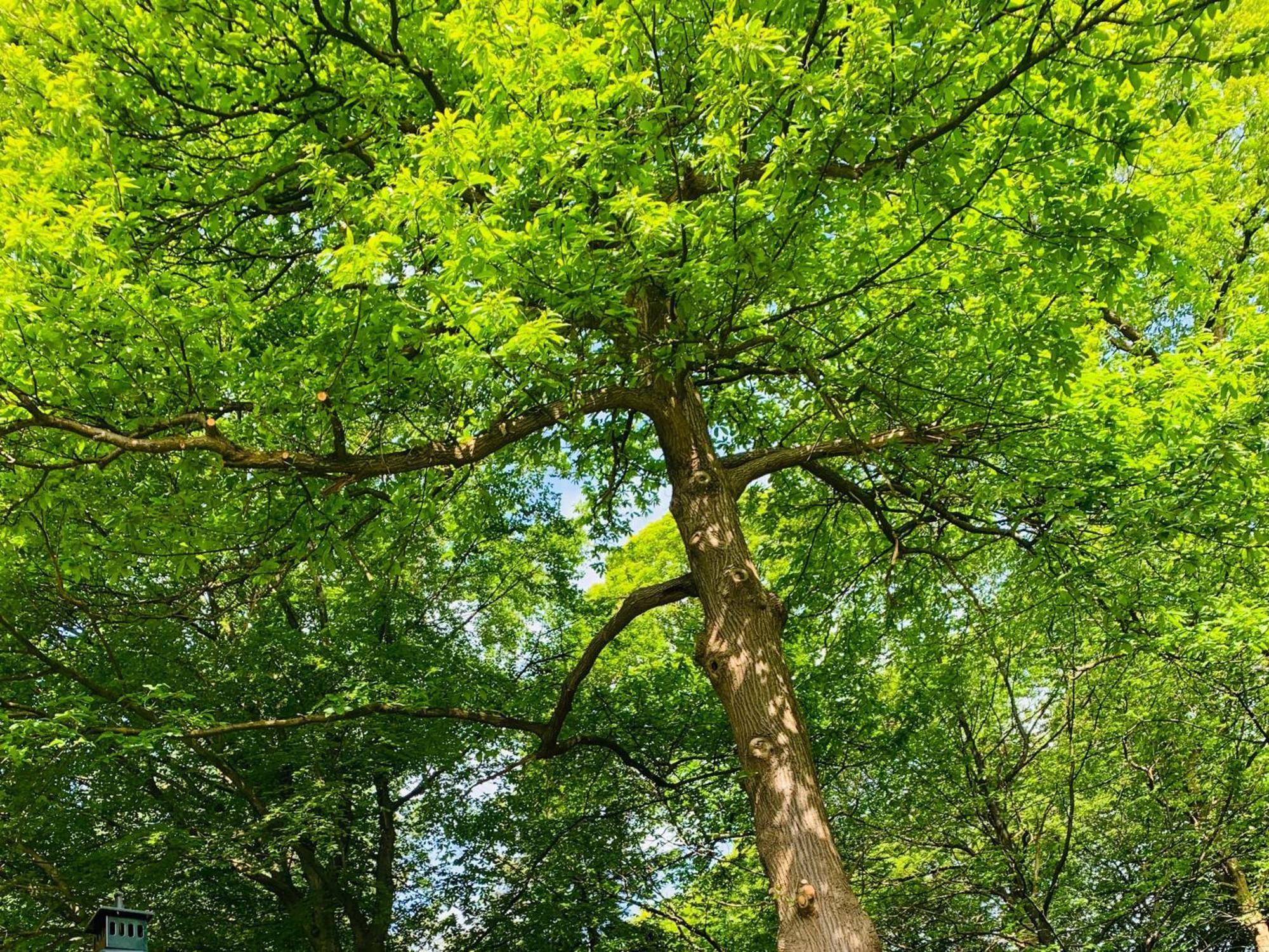 Hotel Landgoed Zonheuvel Doorn Eksteriør bilde